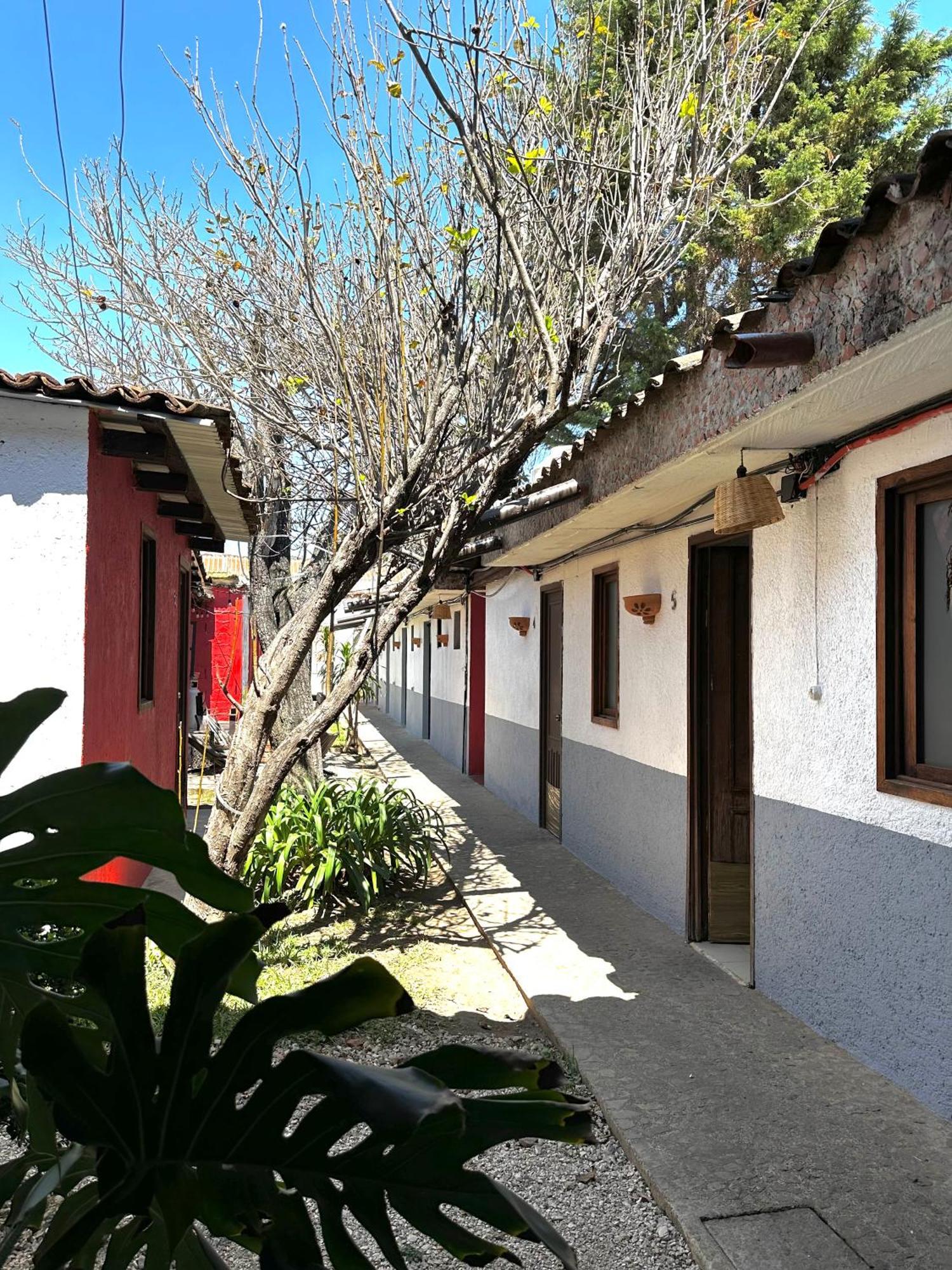 Berlin61 Hotel San Cristobal de las Casas Exterior photo